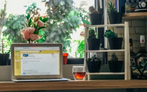 Aprenda Frases e Expressões em Inglês em Casa